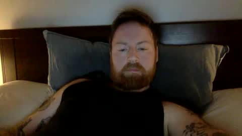 Beewolf online show from 02.14.25