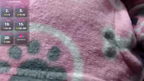 Snapshot of bekkasquirt chatting on 01.01.25 bekkasquirt online show from 01.01.25