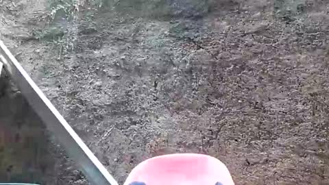 Snapshot of belalicious chatting on 02.28.25 Tezza online show from 02.28.25