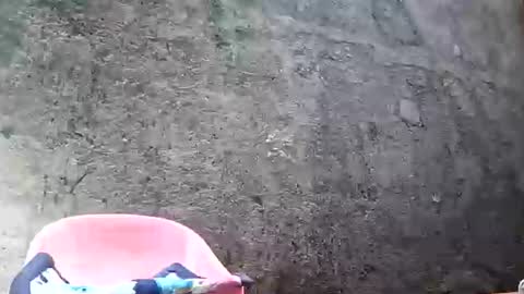 Snapshot of belalicious chatting on 02.28.25 Tezza online show from 02.28.25