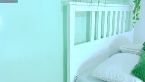 BELA online show from 11.12.25