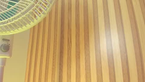 Melanie  online show from 02.13.26