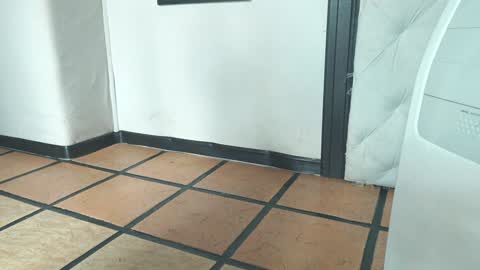 Snapshot of bellapazzia13 chatting on 12.19.24 online show from 12.19.24