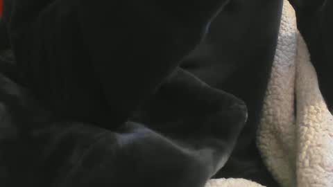 Snapshot of benx12123 chatting on 02.16.25 benx12123 online show from 02.16.25