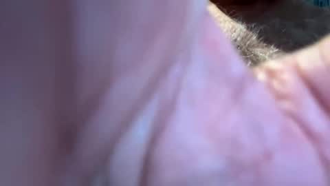 benz10001 online show from 09.13.25