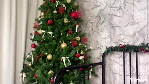 Beth and Derek online show from 12.28.24