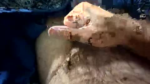 big88385909 online show from 10.21.25