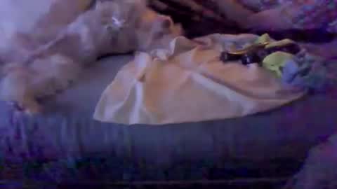 Snapshot of bigbenidick1 chatting on 02.08.26 BB online show from 02.08.26