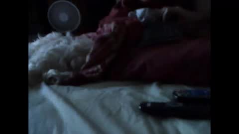 Snapshot of bigbenidick1 chatting on 03.14.26 BB online show from 03.14.26