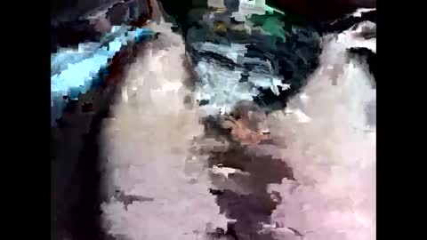 Snapshot of bigbird0100101 chatting on 02.07.26 bigbird0100101 online show from 02.07.26