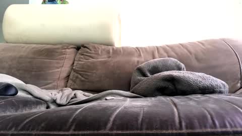 Snapshot of bigboadick chatting on 10.31.25 bigboadick online show from 10.31.25