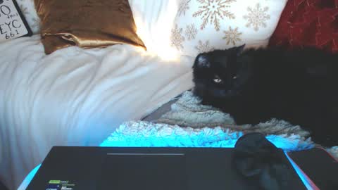 bigboobs_cutie online show from 12.14.24