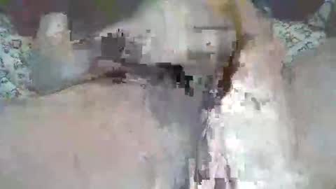 bigbr0wnc0ck69 online show from 09.09.25