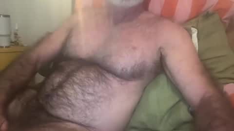 big bush online show from 07.19.26