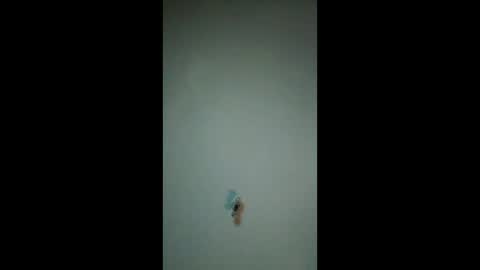 bigchorizo18 online show from 03.20.26