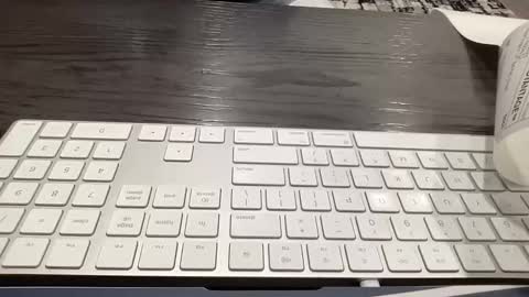 bigcock4u32 online show from 02.16.26