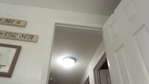 bg online show from 12.19.24