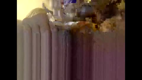 bigdaddydongarlets391292 online show from 12.04.25