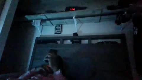 Snapshot of bigdickdaddy3200798456 chatting on 12.28.24 bigdickdaddy3200798456 online show from 12.28.24