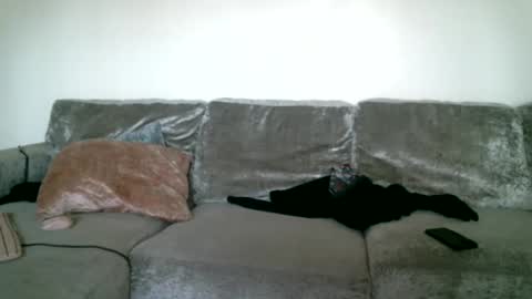 CAJEinc online show from 02.15.25