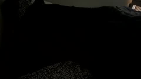 bigdickpapishampoo online show from 12.01.25