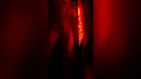 bigdickpapishampoo online show from 12.23.25