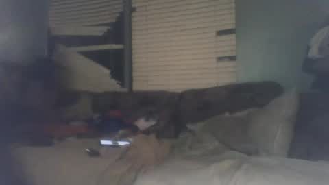 bigdickrandy11111122 online show from 09.29.25