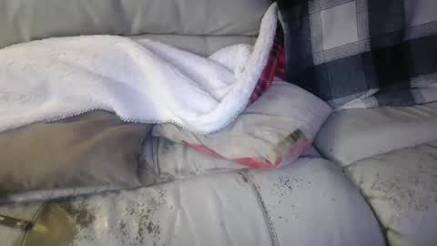 bigdicktrannynicole online show from 01.21.25