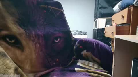 Snapshot of bigdickyduby chatting on 11.12.25 George Forest Dickyduby on all Socials online show from 11.12.25