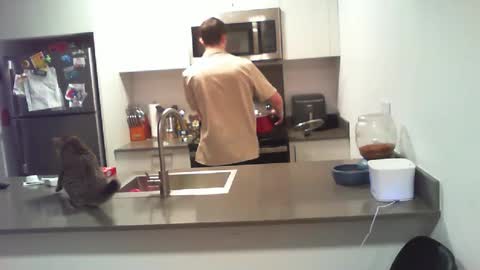 BigWilly online show from 10.01.25