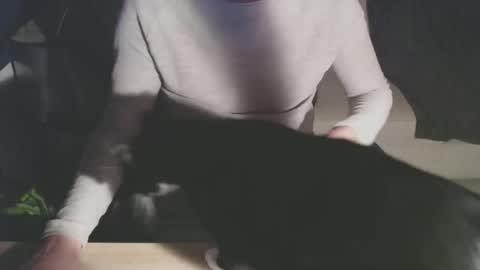 BigDutchEnergy online show from 02.28.26