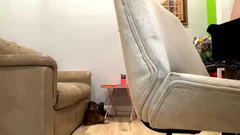 Snapshot of bigeddie88 chatting on 09.23.25 bigeddie88 online show from 09.23.25