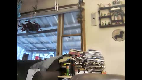 bigelectricrod online show from 01.05.25