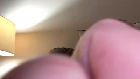 biggloves4bighands online show from 11.16.25