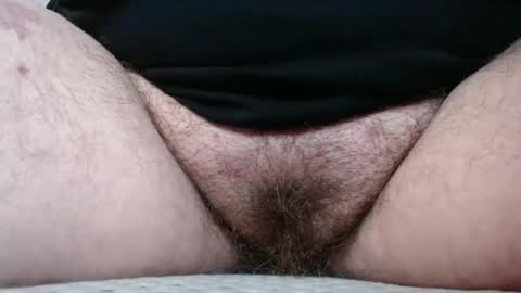 Snapshot of bighairyabby chatting on 11.04.25 Abby online show from 11.04.25