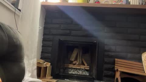 Daniel  Noelia online show from 11.17.25