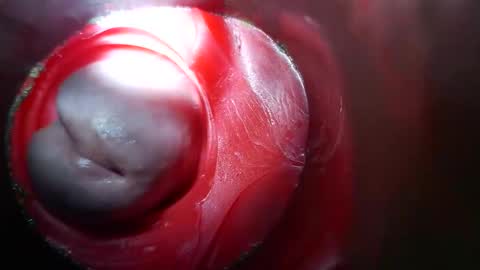 bigmoneycorey online show from 03.10.26