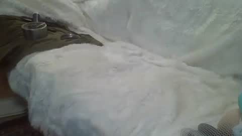 ...... online show from 12.14.24