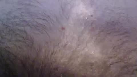 Snapshot of bigstudjohn22 chatting on 11.16.25 bigstudjohn22 online show from 11.16.25