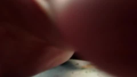 bigtesti1 online show from 10.08.25