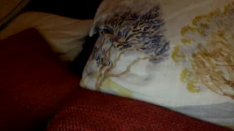 Snapshot of bigvic25cm chatting on 03.01.25 bigvic25cm online show from 03.01.25