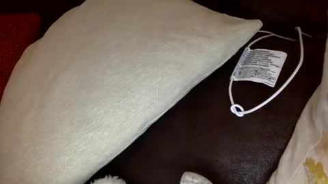 Snapshot of bigvic25cm chatting on 11.28.25 bigvic25cm online show from 11.28.25