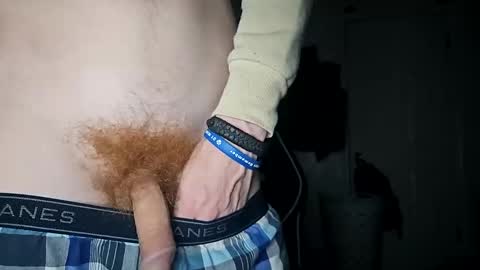 Snapshot of bigwhited2115 chatting on 11.04.25 Onlyfans redheadedwhitedick online show from 11.04.25