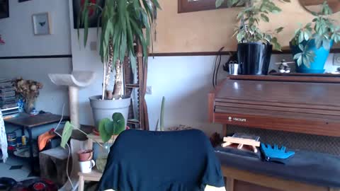 Billy FingerCut online show from 03.04.25
