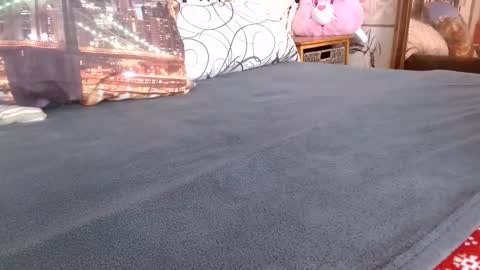 Bill online show from 02.17.26