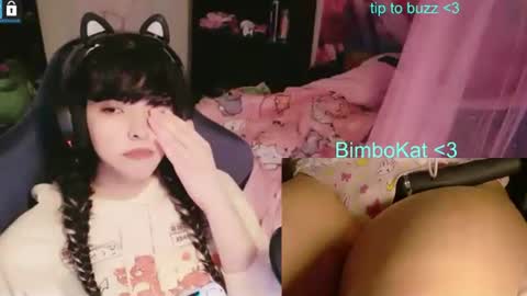 BimboCat online show from 07.01.26
