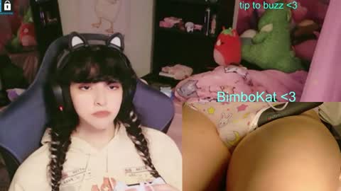 BimboCat online show from 07.10.26