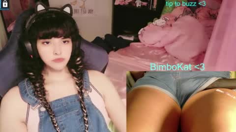 BimboCat online show from 07.31.26