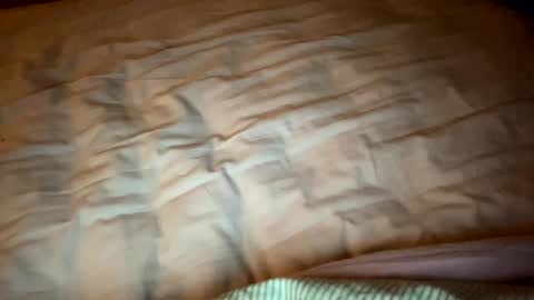 Snapshot of bipatron12 chatting on 02.11.25 bipatron12 online show from 02.11.25