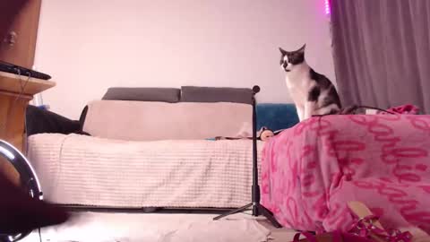 Snapshot of bitethetreat chatting on 02.15.25 BitE ThE TreaT online show from 02.15.25